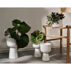 New IITTALA kastelupullo 2set