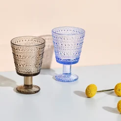 New IITTALA Jalkalasi 26cl 2kpl Pellava