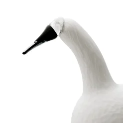 IITTALA Karjalan laulujoutsen valkoinen 330x210