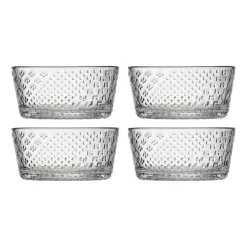 Best IITTALA Kulho 25cl kirkas 4kpl