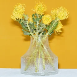 Clearance IITTALA Lasimaljakko 180x192mm Kirkas