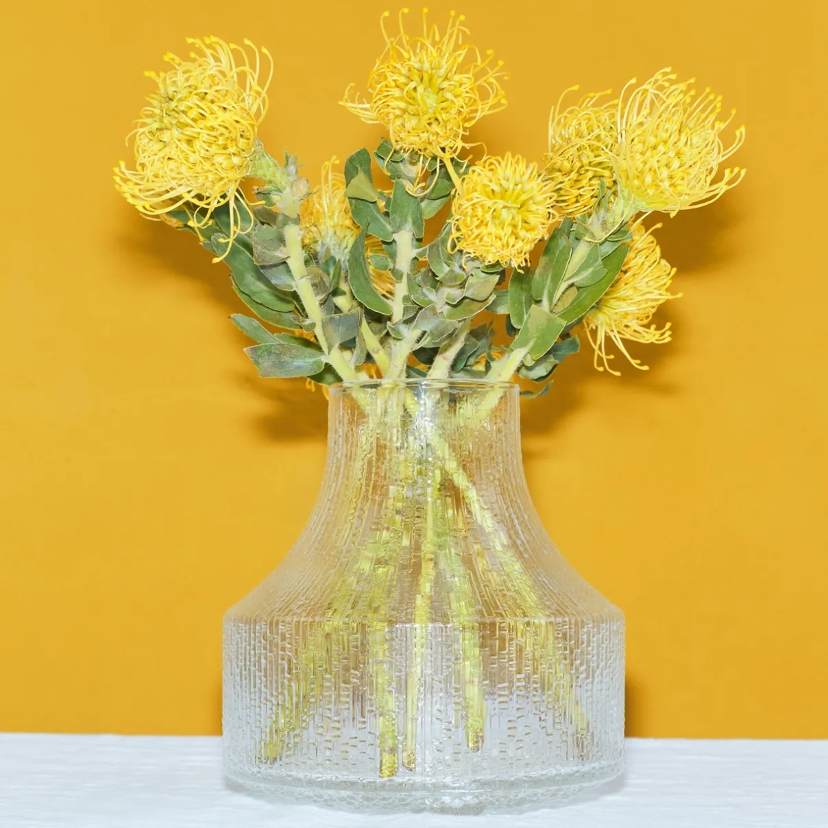 Clearance IITTALA Lasimaljakko 180x192mm Kirkas