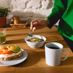 Online IITTALA Muki 0,3L talvensininen