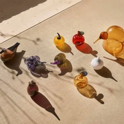 Discount IITTALA Omenapullo Karpalo