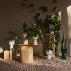 Hot IITTALA Ruukku jalallinen S korkea Beige