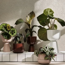 Discount IITTALA Ruukku valkoinen jalallinen M