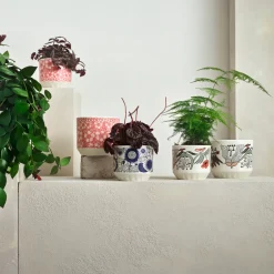 Online IITTALA Ruukku 100x120mm