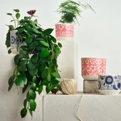 Outlet IITTALA Ruukku 100x120mm