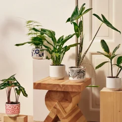 Clearance IITTALA Ruukku 100x120mm