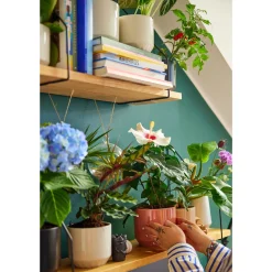 Hot IITTALA Ruukku 100x120mm hiekka