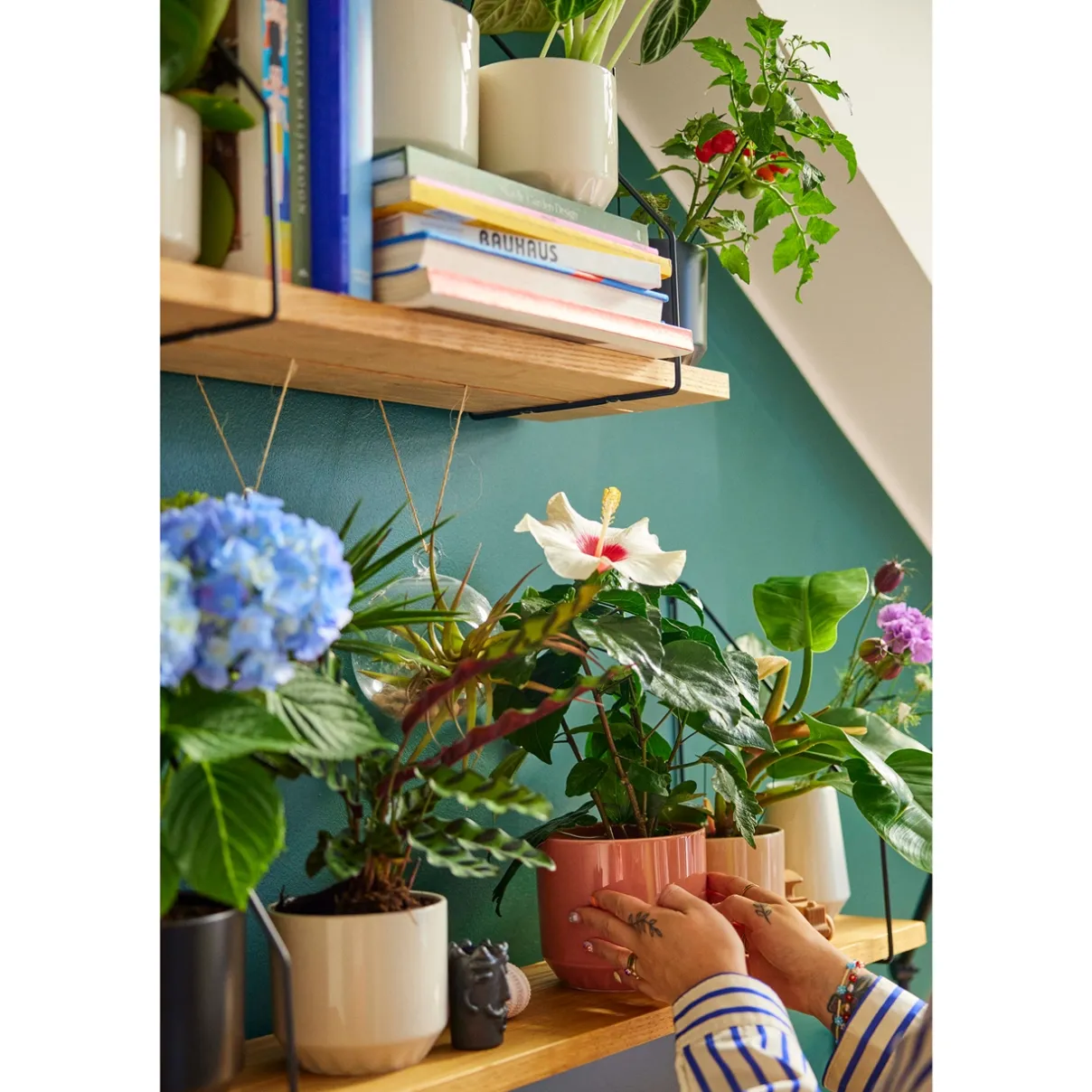 Online IITTALA Ruukku 100x120mm terrakotta