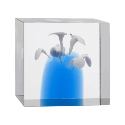 Clearance IITTALA Vuosikuutio 85x80mm 2024